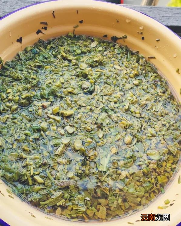 香椿芽最原始的腌制 怎样腌香椿