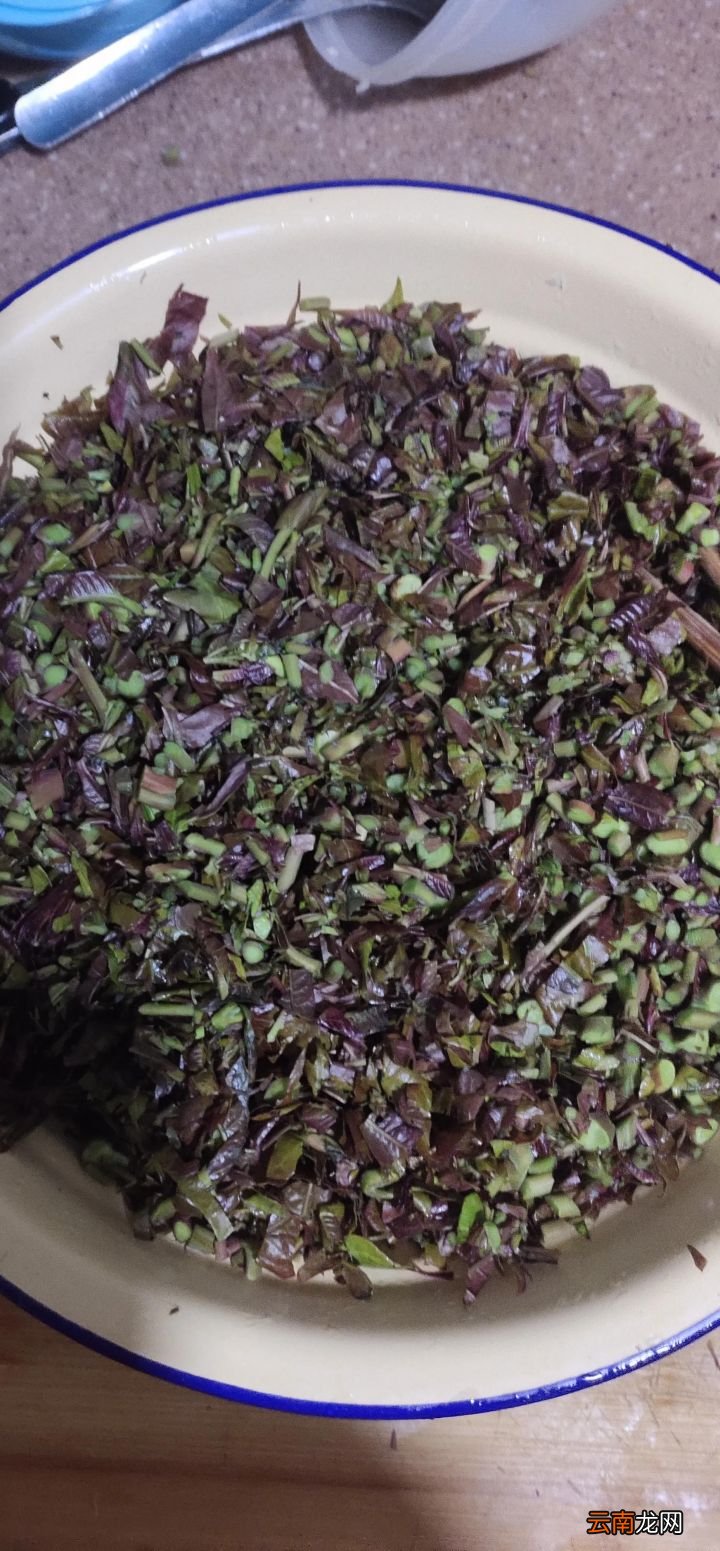 香椿芽最原始的腌制 怎样腌香椿