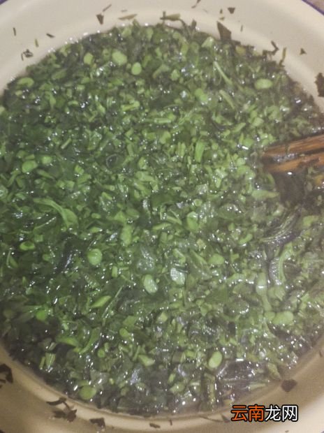 香椿芽最原始的腌制 怎样腌香椿