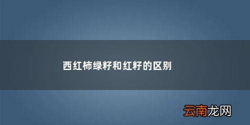 西红柿里面的籽是绿的好还是红的好呢 西红柿绿籽和红籽的区别