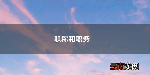 职业职称怎么填写 职称和职务