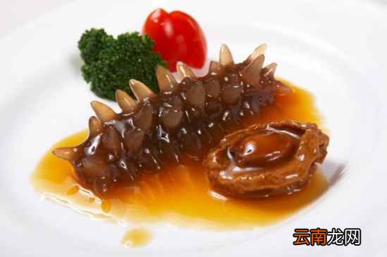海参的20种家常做法 每天都不重样