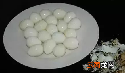 快速剥鹌鹑蛋的方法 这么剥鹌鹑蛋又快又完整