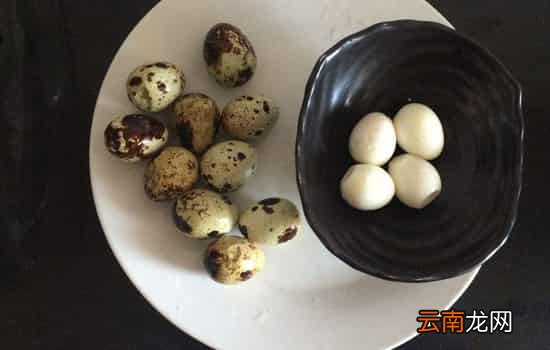 快速剥鹌鹑蛋的方法 这么剥鹌鹑蛋又快又完整
