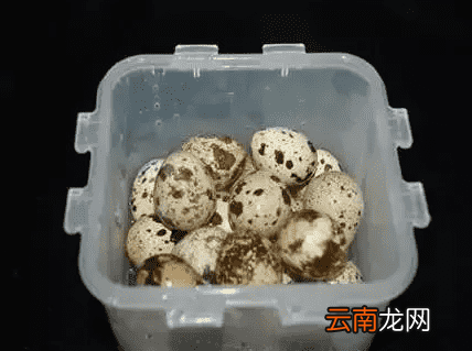 快速剥鹌鹑蛋的方法 这么剥鹌鹑蛋又快又完整