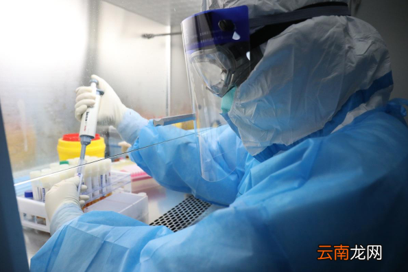 48小时核酸检测一天可以做完吗-48小时核酸检测一天之内能出结果吗