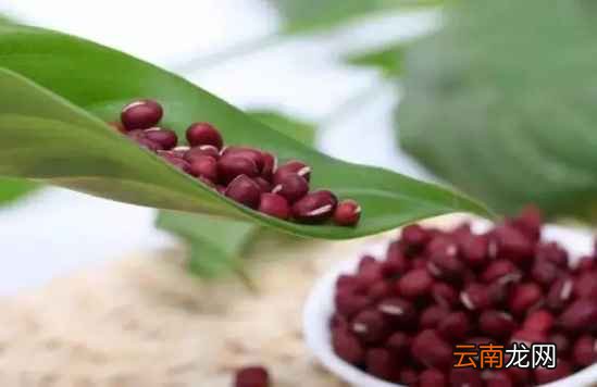红豆怎么吃减肥最快 这六种吃法了解下