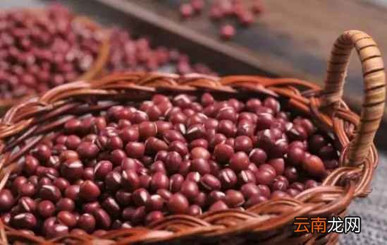 红豆怎么吃减肥最快 这六种吃法了解下