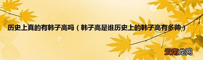 韩子高是谁历史上的韩子高有多帅 历史上真的有韩子高吗