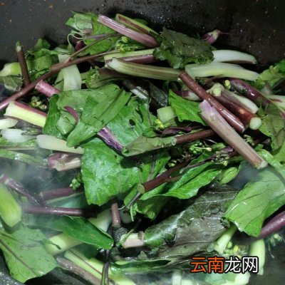 手把手教你做酸辣菜苔 酸辣菜苔的做法