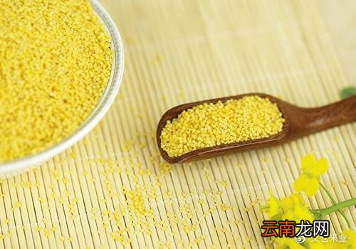 小米饭的做法营养又美味 小米饭怎么做