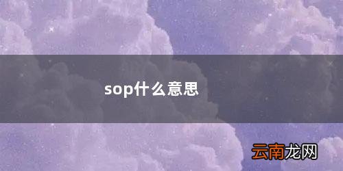 so是什么意思 sop什么意思