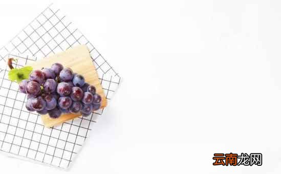 什么食物能解酒 吃这六种食物不易醉