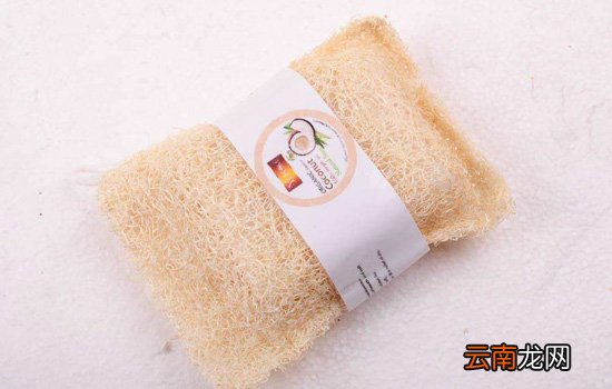 丝瓜瓤是一个什么结构 丝瓜瓤清洁效用和其结构有关