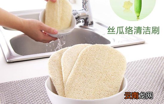 丝瓜瓤是一个什么结构 丝瓜瓤清洁效用和其结构有关