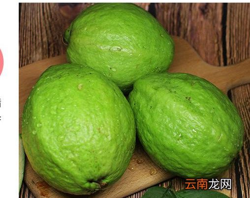 番石榴营养价值竟然这么厉害 芭乐水果的功效与作用
