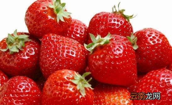 草莓成熟的季节是几月 草莓是什么季节的水果