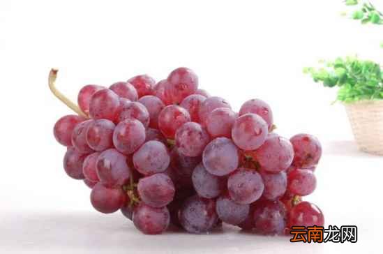 晚上不能吃的八种水果 再喜欢也要戒口