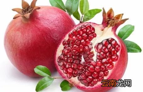 酒精肝适合吃什么水果 这五种非常合适