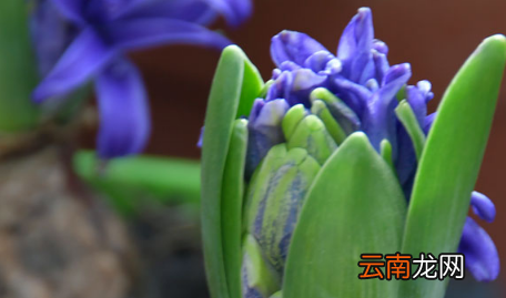 2022年2月4立春下雨好还是出太阳好-2月4立春天气怎么样
