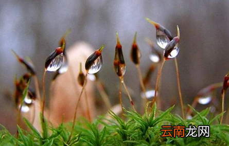 2022年2月4立春下雨好还是出太阳好-2月4立春天气怎么样