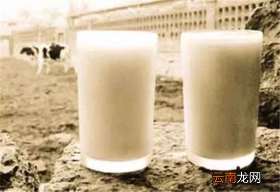 乳酸菌饮料的作用 这些奶没有好处反而有坏处
