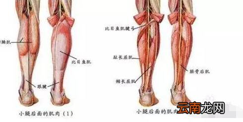 血脂高有什么症状呢 五个部位会说话