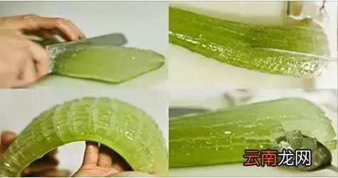 芦荟有什么作用和功效 它全身上下都是宝哟