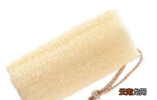 丝瓜瓤洗碗有什么危害 丝瓜瓤的细菌问题怎么解决