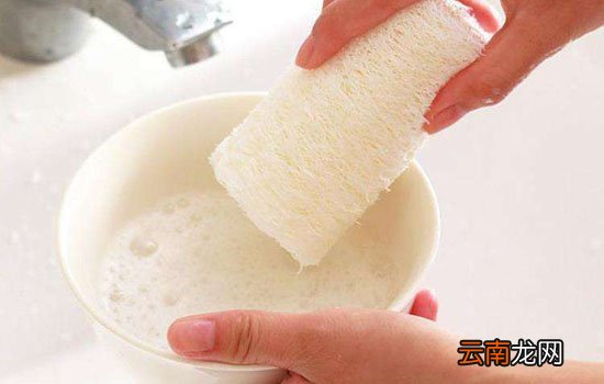 丝瓜瓤洗碗有什么危害 丝瓜瓤的细菌问题怎么解决