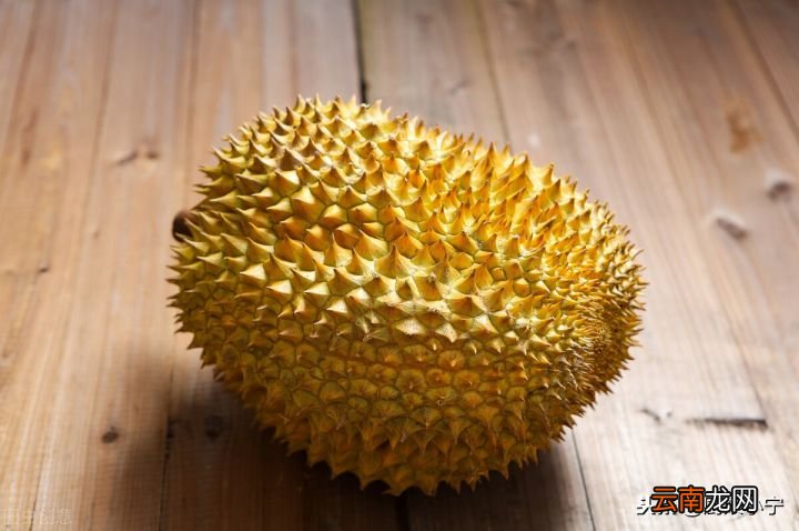 教你榴莲的催熟方法 榴莲不熟要怎么放才能熟