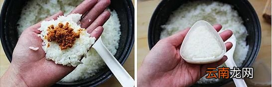 学生郊游便当 希望大家能够喜欢