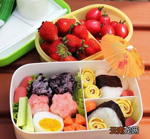 学生郊游便当 希望大家能够喜欢