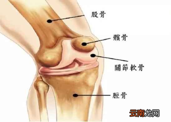 每个年龄段如何保护膝盖 真的超级实用