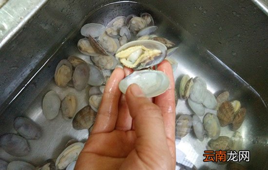 花甲不开口是不是死了 花甲不开口可以吃吗