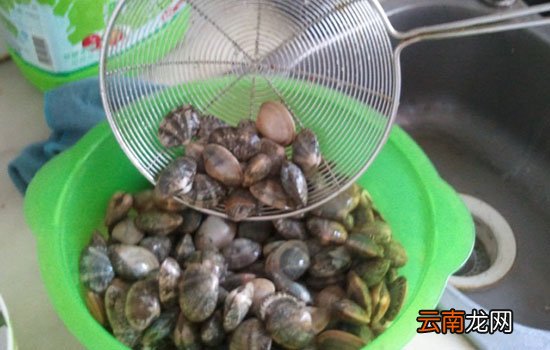 花甲不开口是不是死了 花甲不开口可以吃吗
