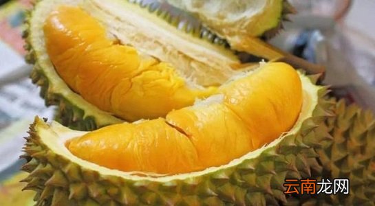 你吃对了吗 女性吃榴莲最佳时间