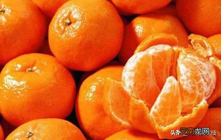 柑橘有哪些优点和营养价值呢 橘子的营养价值