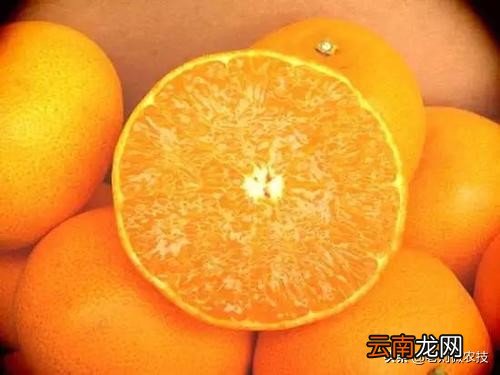 柑橘有哪些优点和营养价值呢 橘子的营养价值