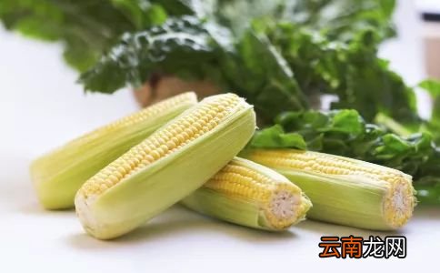 适合懒人的3款食谱 让你边吃边瘦