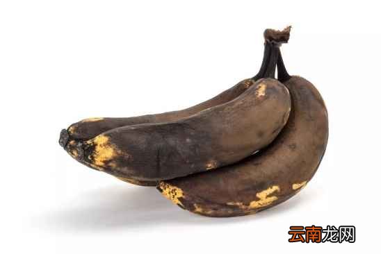 什么食物放冰箱坏的快 这五种大多数人不知道