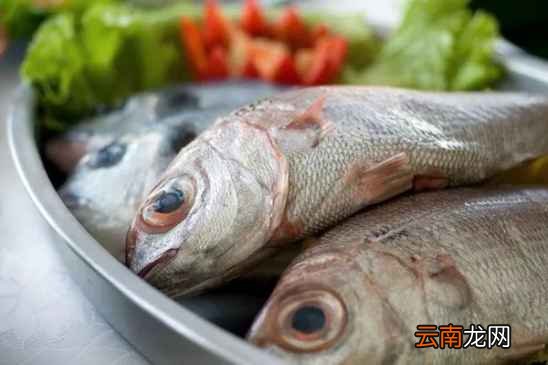 什么食物放冰箱坏的快 这五种大多数人不知道