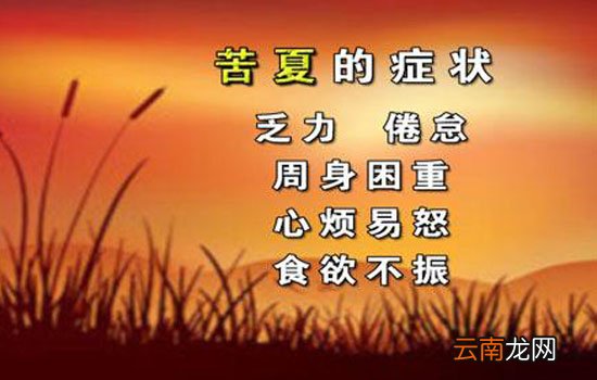 苦夏什么意思 身体无病三分虚
