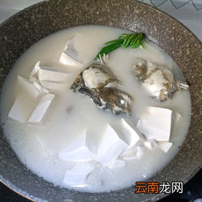 冬天吃白白浓浓鱼头豆腐汤 鱼头豆腐汤的做法