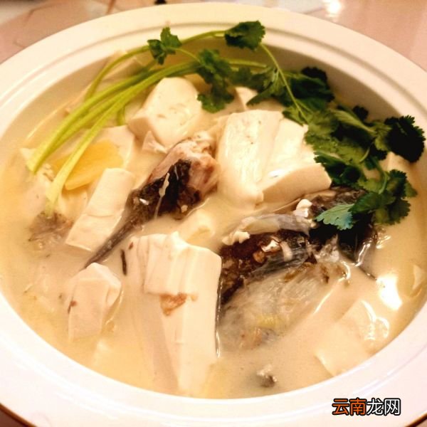 冬天吃白白浓浓鱼头豆腐汤 鱼头豆腐汤的做法
