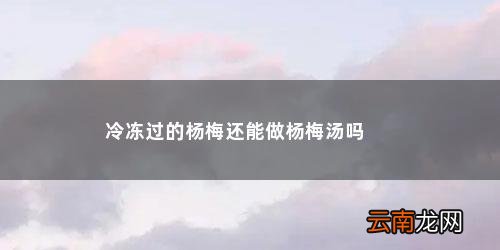 冰镇杨梅怎么做杨梅汤喝 冷冻过的杨梅还能做杨梅汤吗