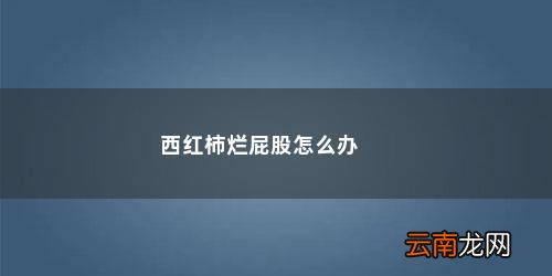 西红柿烂屁股怎么办