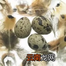 高考前吃什么补脑 高考前家长可以为孩子准备这些吃的