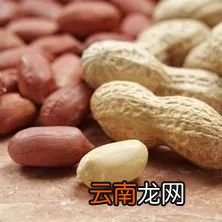 高考前吃什么补脑 高考前家长可以为孩子准备这些吃的