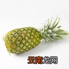 高考前吃什么补脑 高考前家长可以为孩子准备这些吃的
